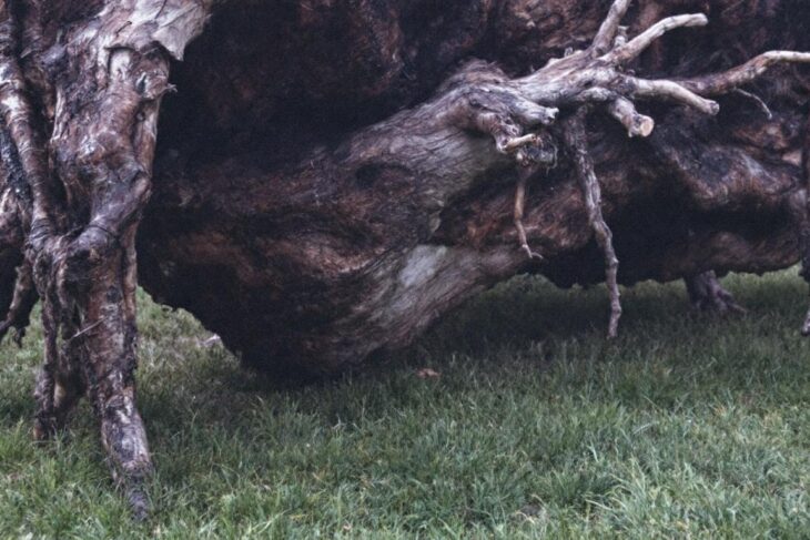 Les avantages des lampes de vidéoprojecteur pour Epson par rapport à la concurrence